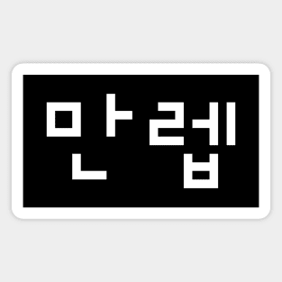 Korean Expert 만렙 Manleb | Hangul Language Magnet